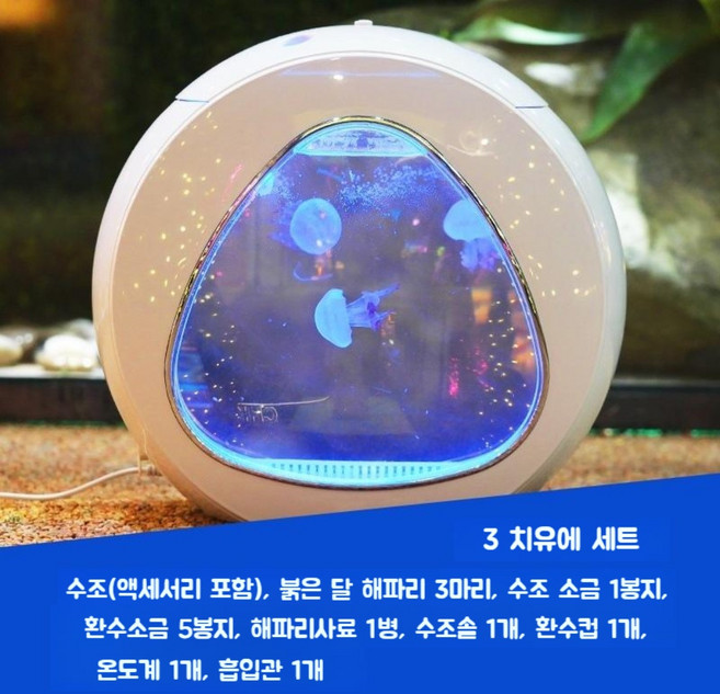 해파리키우기 LED어항 수조 수족관 애완해파리, 1개