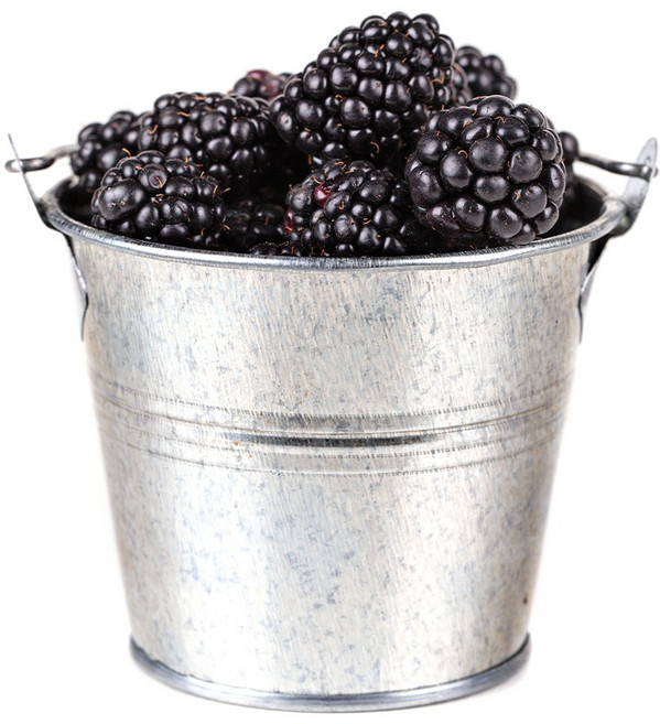 [억수로상회] 고창 산지직송 블랙베리(급냉/상품) 슈퍼복분자 대용량, 1개, 10kg