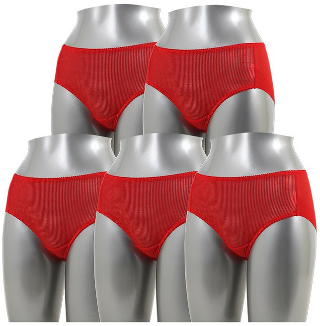 캐리루시 빅사이즈 인견 노라인 누디 햄팬티 5P