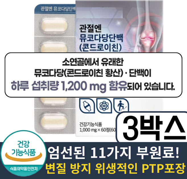 관절엔 콘드로이친 1200 소유래 콘드로이친 식약청 인증, 60정, 3개