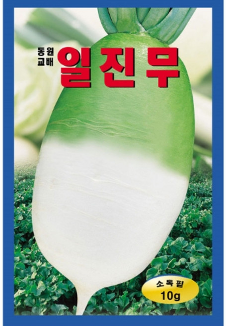 영농사 일진무 씨앗 10g 김장가을무씨, 4개