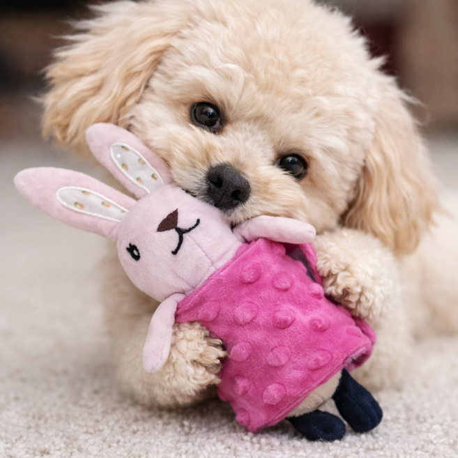 [푸들나무] 돌돌 숨김롤 강아지 노즈워크 훈련용 장난감, 1개, 토끼