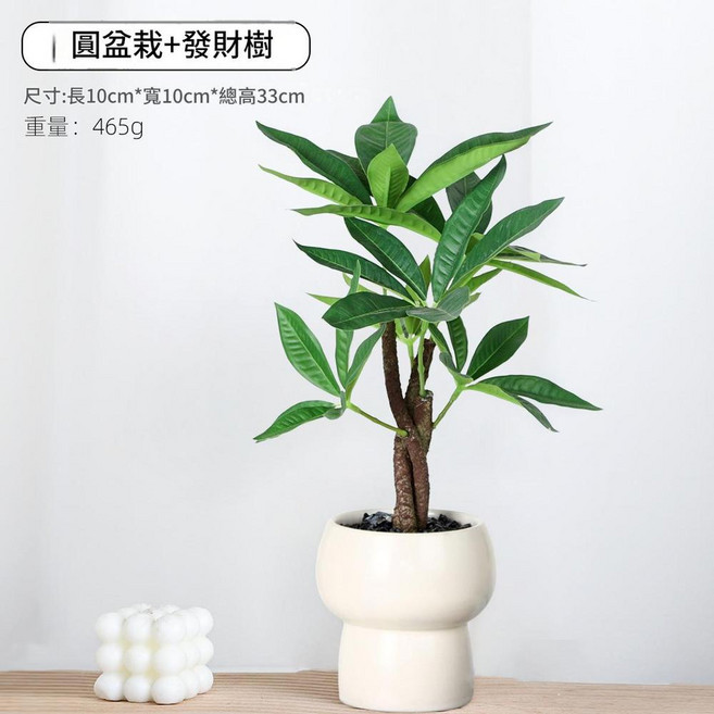 Life 陶瓷盆景花 - 白牡丹, 圓盆栽 發財樹模擬花, 1個
