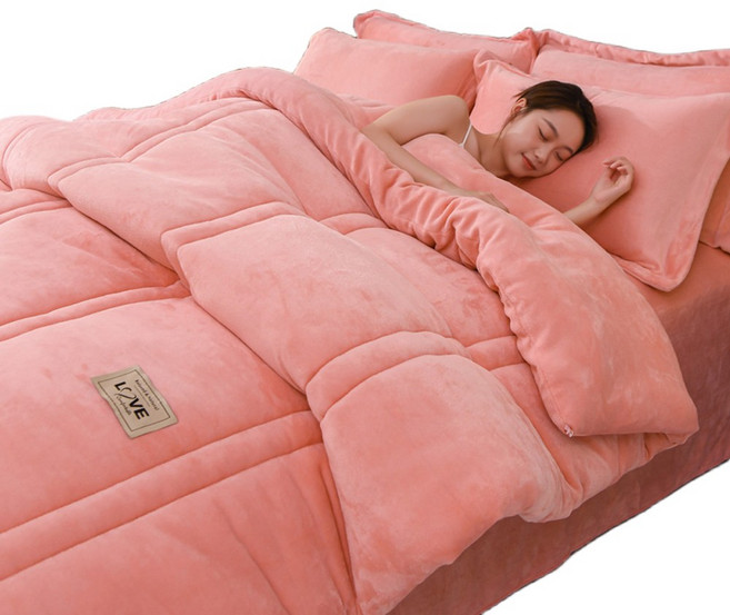 Blossom Bliss 극세사 차렵 이불 겨울 이불세트 킹사이즈 침구세트 기숙사 푹신한 패밀리, 핑크