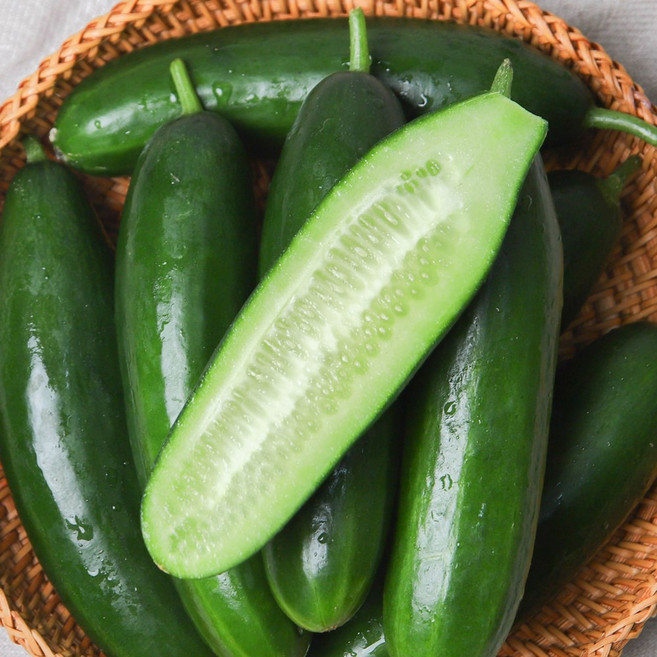 미니오이 스낵오이, 1박스, 미니오이 스낵오이[상품] 1kg