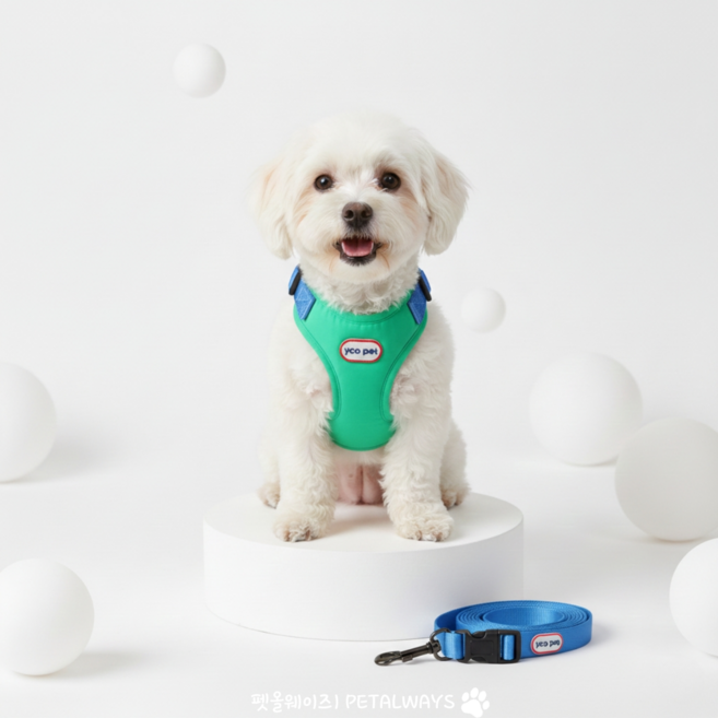 펫올웨이즈 강아지 하네스 투톤 리드줄 세트, 조절형 하네스, 그린