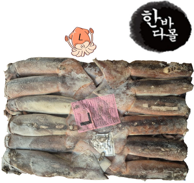 한바다몰 오징어 M 20kg 선상동결 선동오징어 포크오징어 채낚오징어, 1개, 1