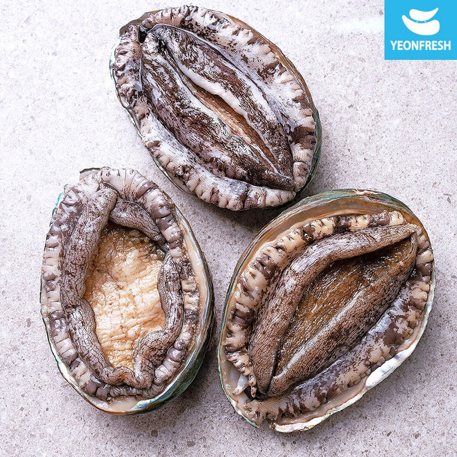 [연프레시] 완도활전복 1kg 산소팩, 1개, [F호] 9-10미 1kg