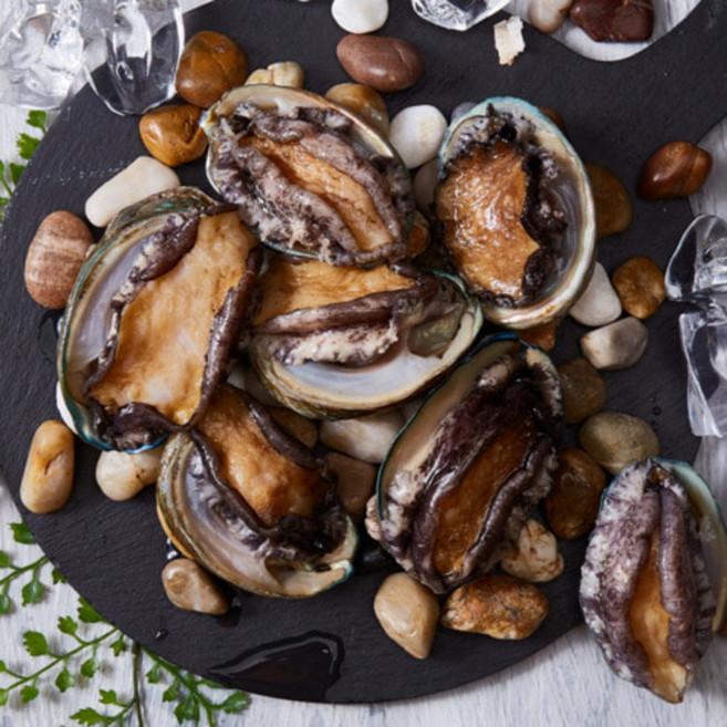 싱싱햇 완도 남해 전복 양식 활전복, 1세트, 1kg(10-11미), 대