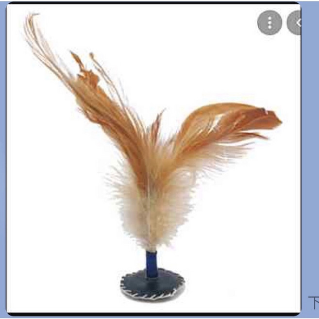 星際戰艦 - 土雞毛毽子, 1個