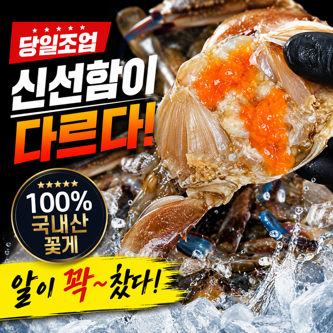 (재구매1위) 알 꽉찬 연평도 알배기 암꽃게 국내산 생물 활 꽃게, 1박스, 3kg(9-15미)