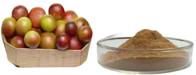 카무카무 농축 추출물, 1개, 1kg