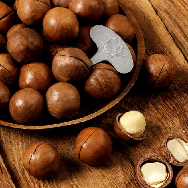 킹스 껍질 까먹는 통 마카다미아 햇수확 견과류, 1개, 10kg