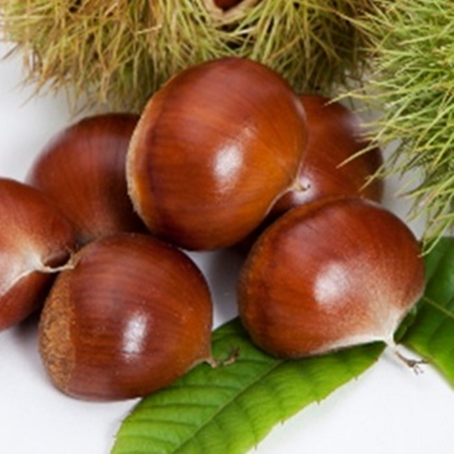 충주밤(대사이즈) 햇밤 맛 100%보장 (이장님네 농산물), 1박스, 충주밤 2kg