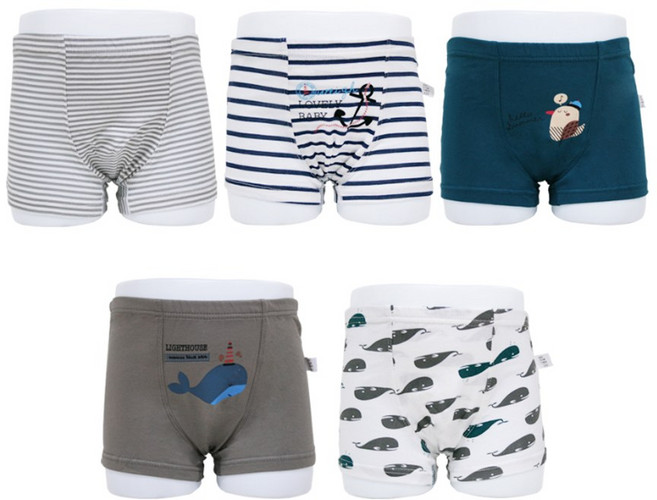 링크체 남자 어린이 팬티 돌고래친구들 5종세트