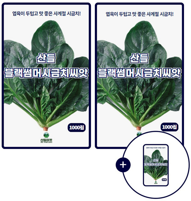 산들 블랙썸머 시금치씨앗 1000립 2+1 증정 채소 시금치 종자