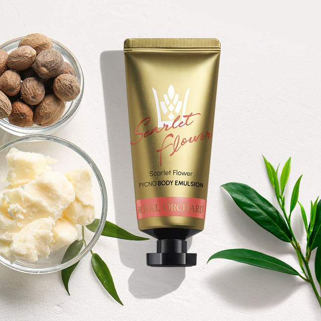 로얄오차드 차(TEA)로만든 바디로션 50ml (피크노제놀 함유), 드래곤 브렉퍼스트