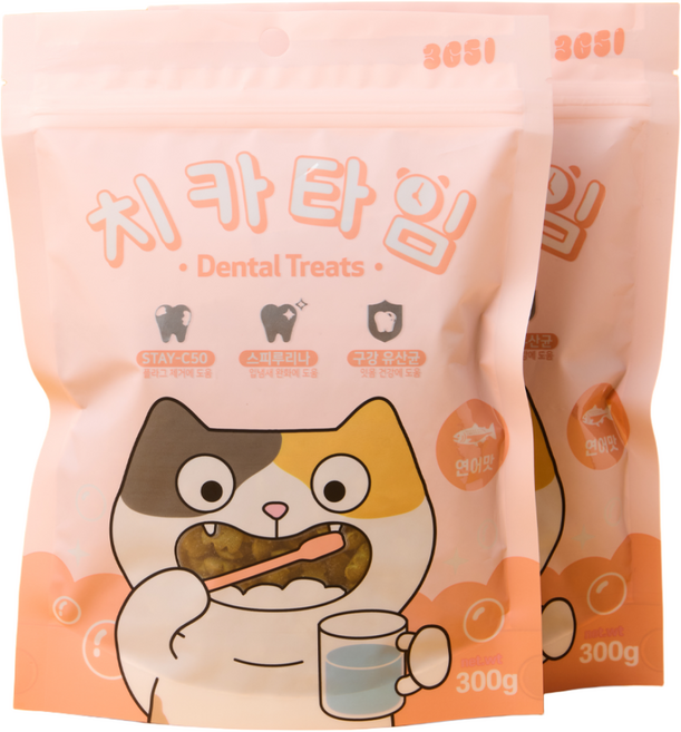 3651 치카타임 고양이 이빨과자 덴탈트릿 간식, 2개, 300g, 연어맛