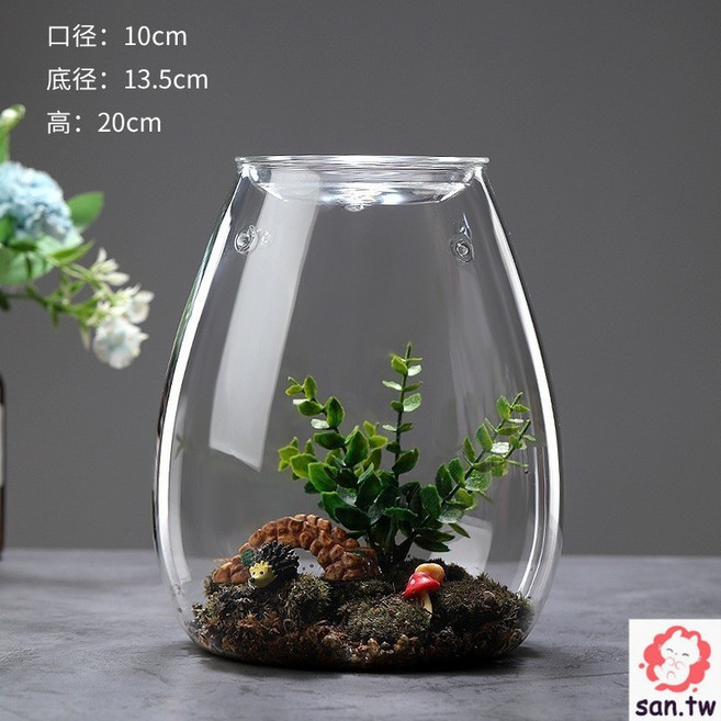 苔蘚生態瓶 高透明玻璃露集杯 植物盆景生態玻璃瓶 微景觀玻璃罩 露集蓋玻璃容器 青苔溫室杯