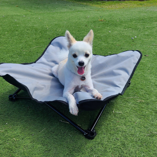 애견 캠핑 체어 강아지 침대 야외 피크닉, 블랙 S, 1개