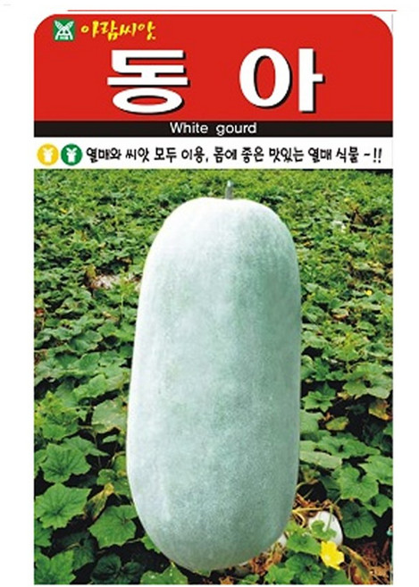 SN월드 씨앗 열매채소 과일채소 모음 (딸기 토마토.호박.오이 고추 수박 참외), 1개