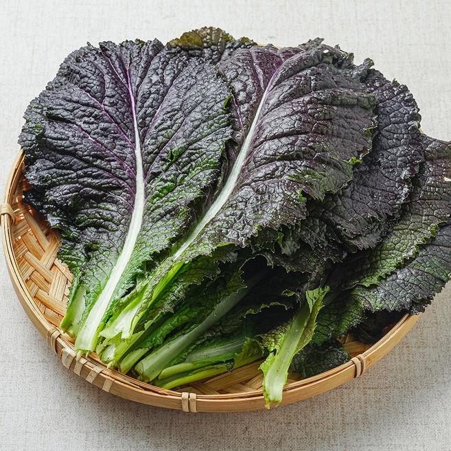 GAP인증 국내산 적겨자 쌈채소, 1kg, 1개