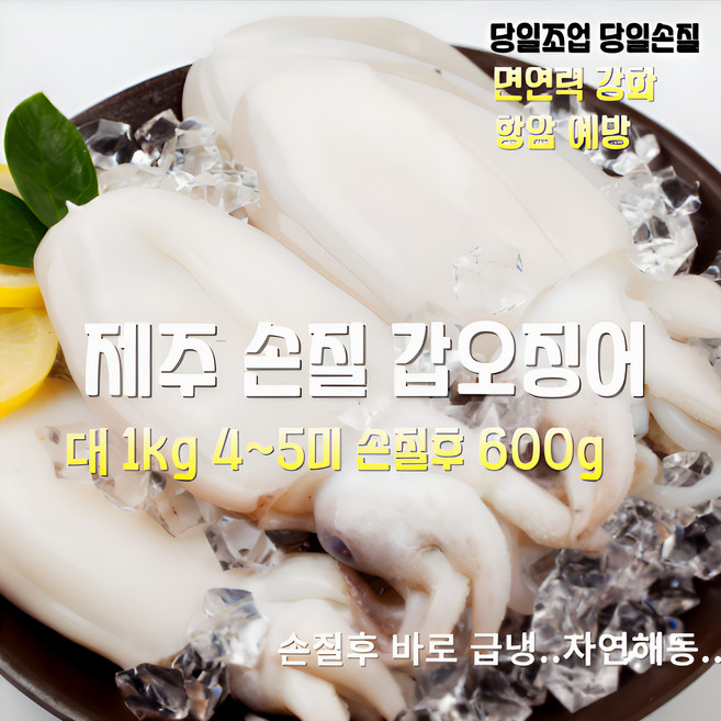 [산지직송] 국내산 자연산 새벽조업 당일손질 제주 손질 갑오징어 대 1kg 4~5미 손질후 600g 재철생선 선물용 가정용, 1박스