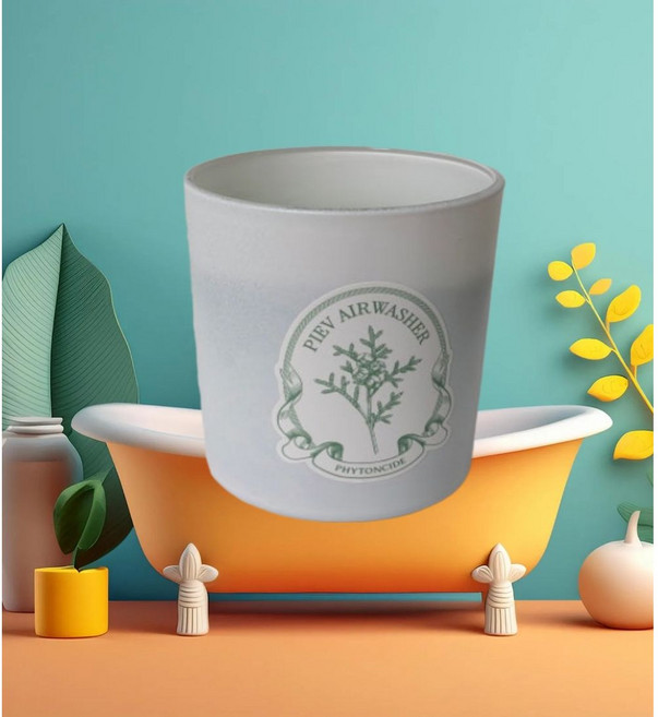 노도르 피에브 에어워셔 고체 탈취제 피톤치드향 차량용 실내 사무실용, 1개, 250g