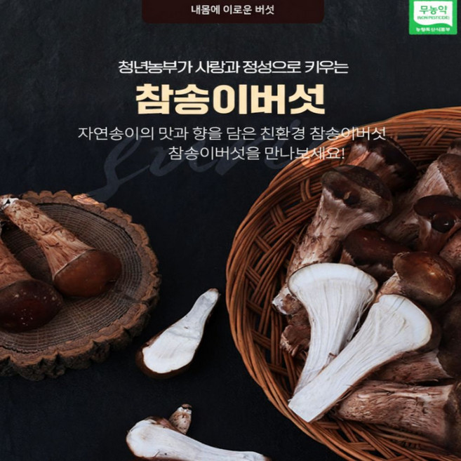 [산지픽] 국내산 무농약 참송이버섯 쫄깃탄력 있는 식감 향긋한 생버섯 가정용, 1개, 1kg