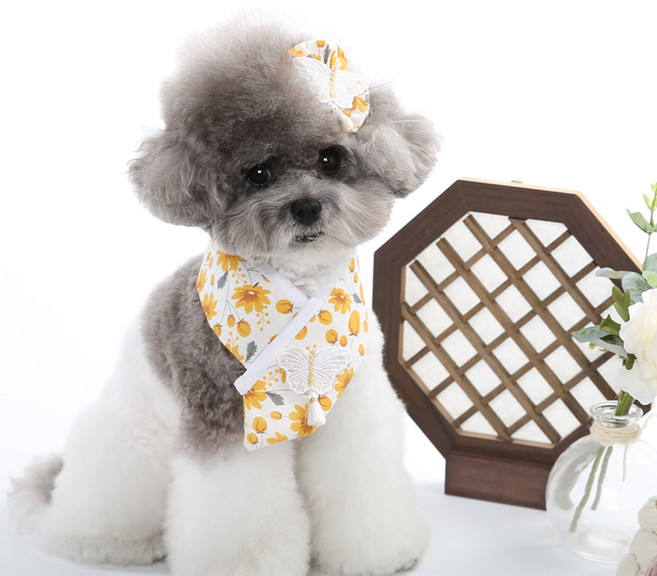 강아지 고양이용 설날 설빔 추석 한복 목도리 스카프 단아 한복 케이프, 1개, 노랑