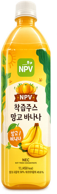 NPV 착즙주스 망고 바나나, 3개, 1L
