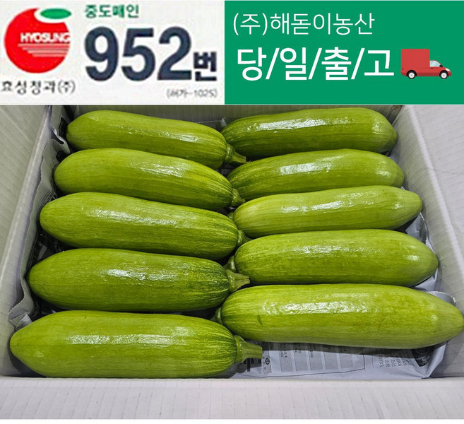 <해돋이농산> 조선애호박 일반애호박 애호박특품 1박스( 6.5~8kg 내외 ), 1박스
