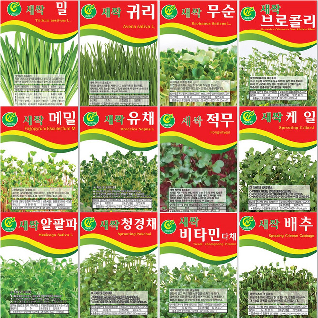 [씨앗모음] 대용량 새싹씨앗 500g 1kg, 3.새싹밀 500g, 1개