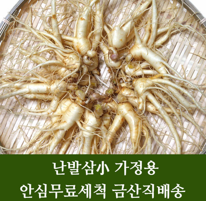 금산 수삼 인삼 난발삼소 잔뿌리 무료 세척 4년근 5년근 6년근 파삼 홍삼용 쥬스용 씻은 인삼 행복한삼, 04. (세척X)수삼잔뿌리, 1개