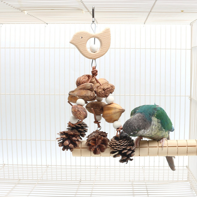 애니버드샵 앵무새 장난감 아기새와 솔방울 열매, 1개