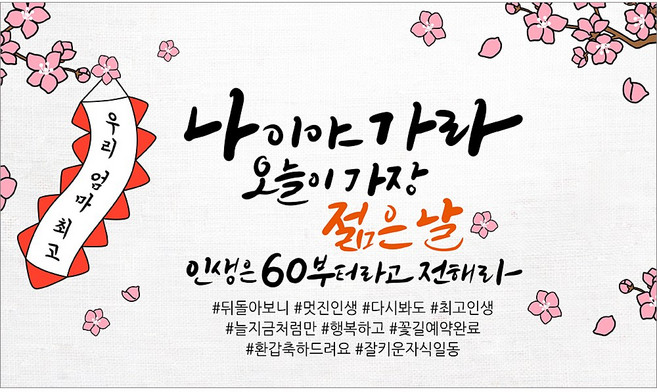 해피파티 어머니 환갑현수막 9종, 6.나이야가라엄마환갑