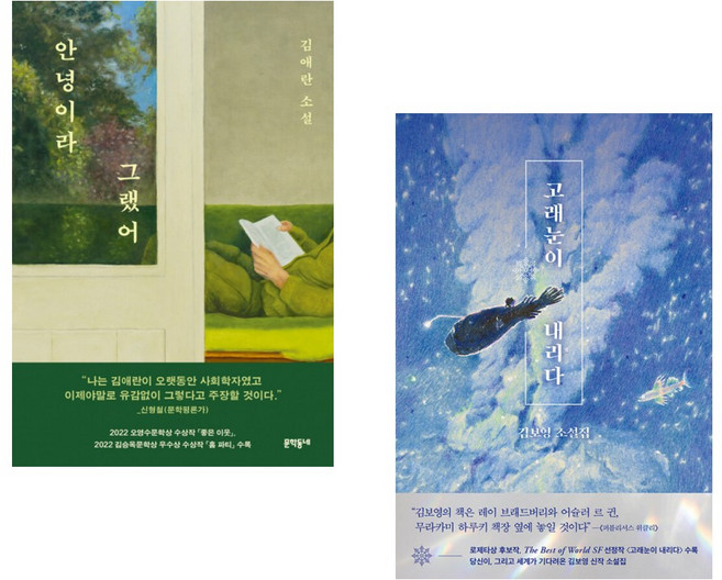 (김애란 ) 안녕이라 그랬어 + (김보영) 고래눈이 내리다 (전2권) (추천도서)