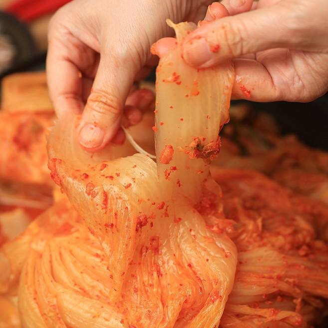 국내산 묵은지 숙성김치 김치찌개용 묵은김치, 1개, 4kg