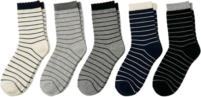 바이식스 모노라인 여성 중목 데일리 패션 양말 5켤레