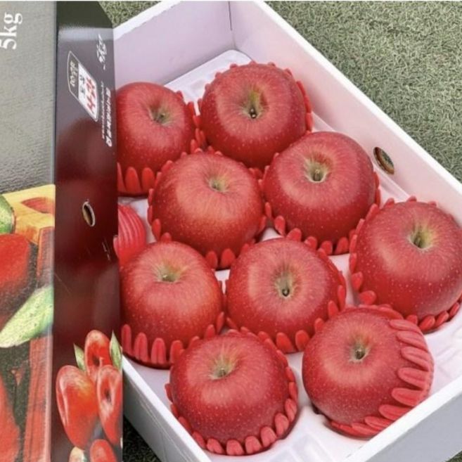 달달과수원 사과 선물세트 5kg 과일선물 추천 ( 특과 11~13과 ), 1박스