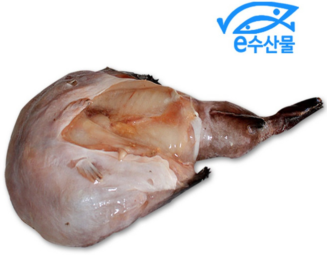 마산어시장 e수산물 냉동아귀 1kg이상 큰아구 아귀 아구찜 통한마리, 1개
