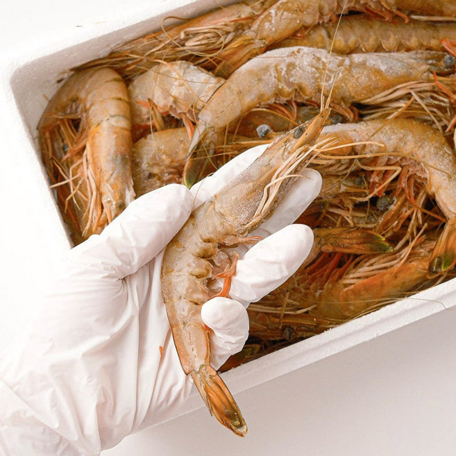 국내산 자연산 대하 1kg, 1개