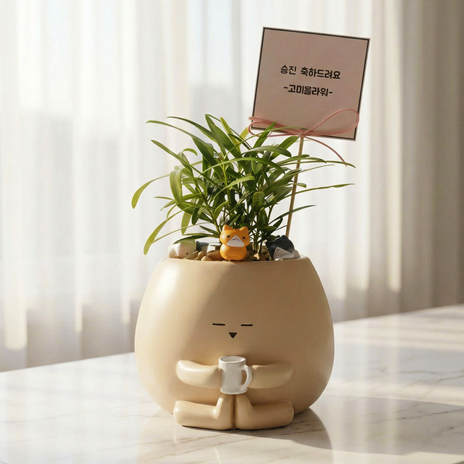 [팻말문구]실내공기정화식물 나한송 기영이화분 승진화분 축하 문구 선물, 9999개