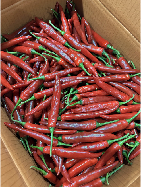 채소킹 국내산 홍청양고추 (특), 1박스, 1kg