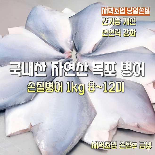 [산지직송] 국내산 자연산 남해안. 목포 햇 생물병어 1500g 손질후 1000g 급냉 8~12미 구이. 조림용, 1박스