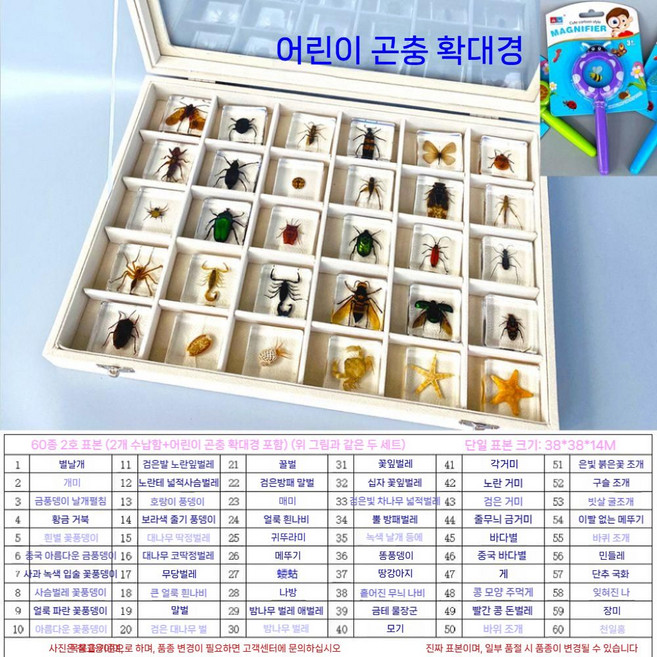 곤충표본세트 과학 숙제 방학 디스플레이 전시관 수집상자 풍뎅이 잠자리 사슴벌레, E. 60개+보관함2개 세트