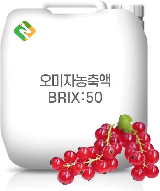 오미자농축액 50Brix 20kg, 1개