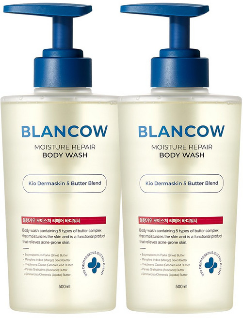 국내 유일 1회사용 피지 47%개선 BHA 여드름기능성 바디워시 모공트러블 각질개선 문제성피부 즉각보습, 2개, 500ml