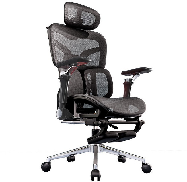 Xpanse 德國品牌 旗艦人體工學椅, T900 Pro-6D-曜黑-四簧雙翼