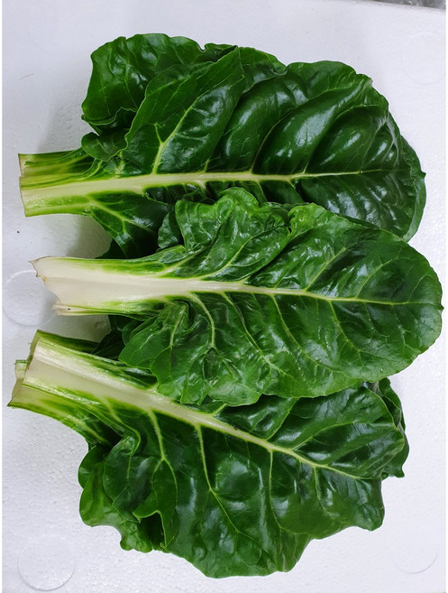 야채왕 근대 200g / 500g, 1개